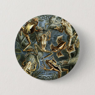 Frogs 6 Cm Round Badge