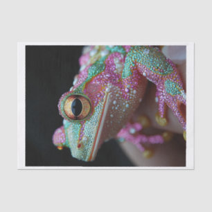 Frogs and Diamonds3 Tissue Paper