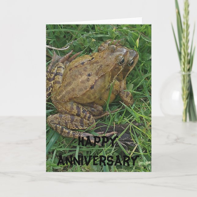 Frogs Anniversary Happy Anniversary Card (Front)