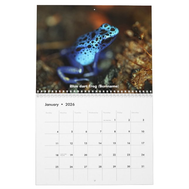 Frogs Calendar (Jan 2026)