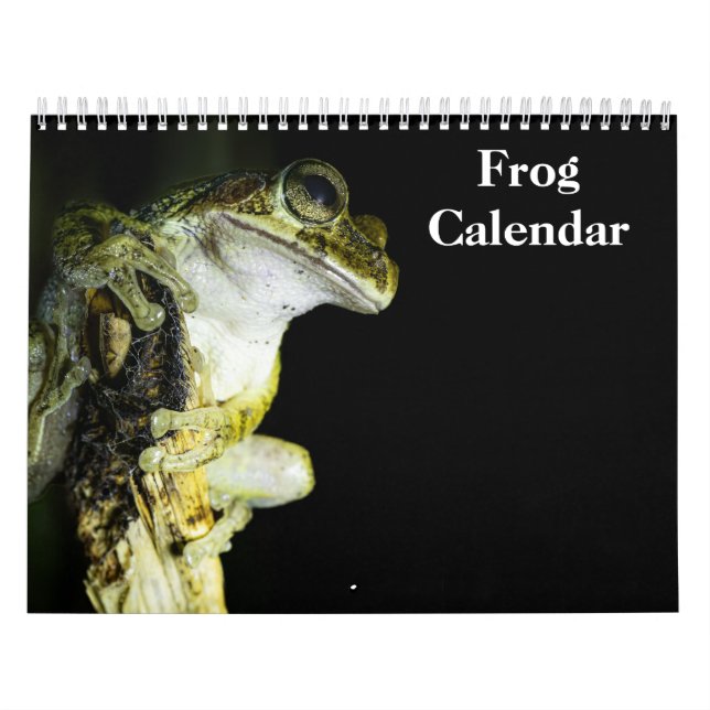 frogs calendar 2027 (Cover)