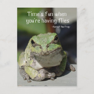 Frogs & Flies Postcard