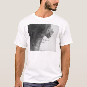 Frog's Head Rock on Deadwood Road Photograph T-Shirt