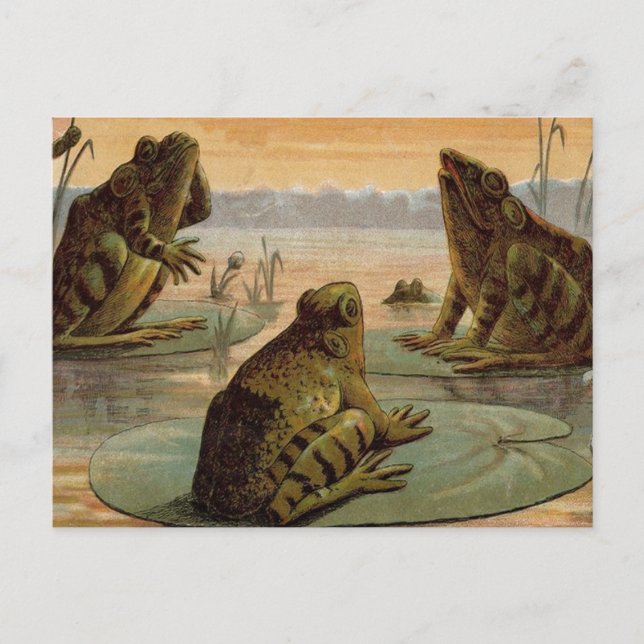 Frogs Lily Pads Moon Illustration Postcard (Front)