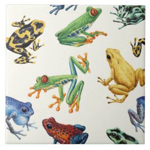 Frogs on black tile