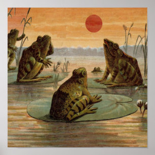 Frogs on Lily pads Vintage Poster