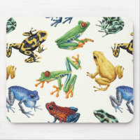 Frogs on natural white