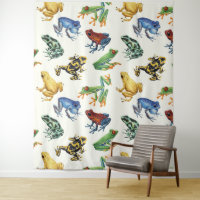 Frogs on natural white