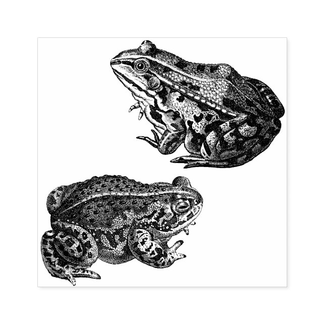 Frogs  Rubber Art Stamp (Imprint)