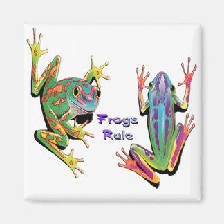 Frogs Rule Magnets