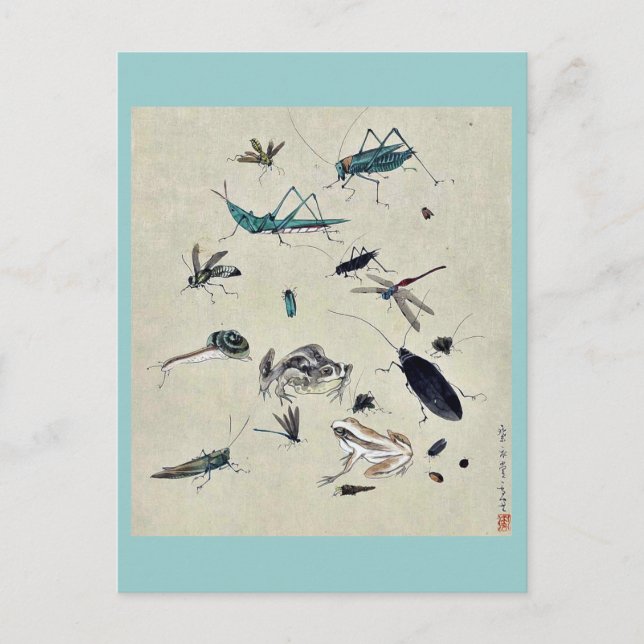 Frogs, snails, and insects postcard (Front)