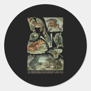 Frogs Toad Breeds Collection Illustration Biology. Classic Round Sticker
