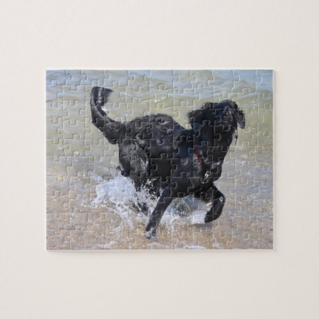Frolicking Dog | Black Labrador Splashing in Water Jigsaw Puzzle (Horizontal)