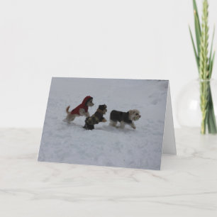 Frolicking Friends Holiday Greetings Card