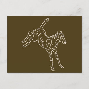 Frolicking Horse Foal - transparent line. Postcard