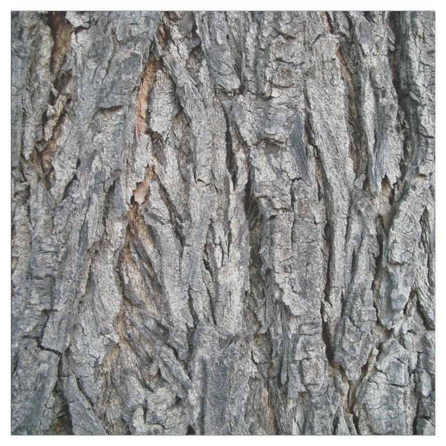 From A Tree Fabric (Swatch)