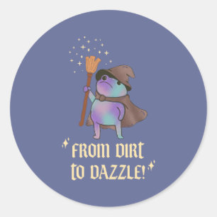 From Dirt to Dazzle Funny Wizard Frog Witch Hat Classic Round Sticker