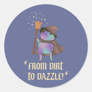 From Dirt to Dazzle Funny Wizard Frog Witch Hat Classic Round Sticker