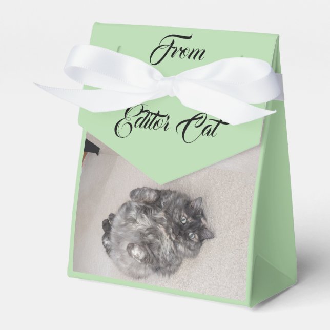 From Editor Cat by RoseWrites Favour Box (Front Side)