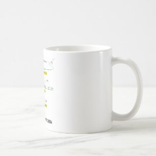 From Gene To Protein Coffee Mug