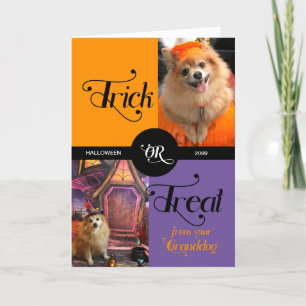 from GRANDDOG Trick or Treat Halloween Two Photos Holiday Card