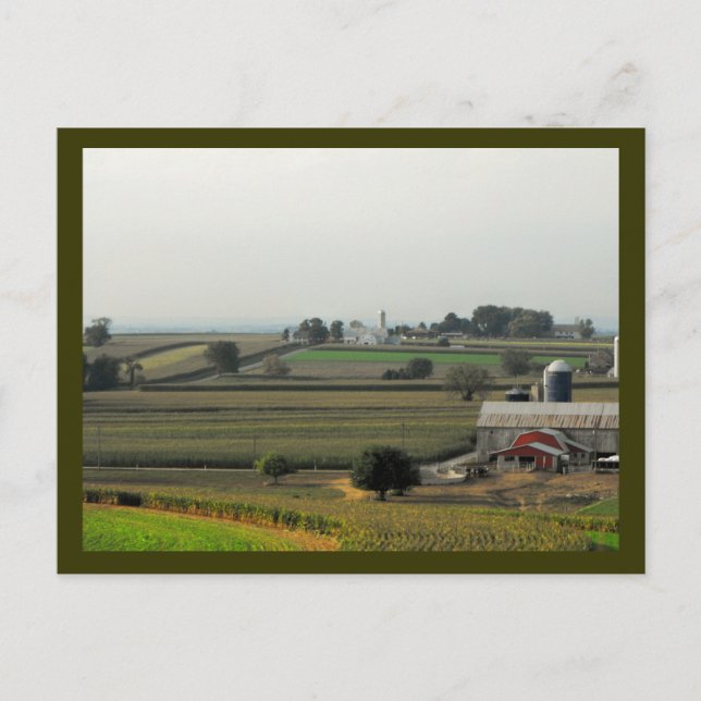 From Grasshopper Level Postcard (Front)