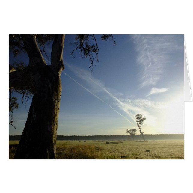 From here to there (Front Horizontal)