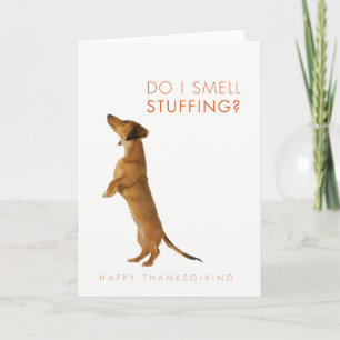 From I smell stuffing? Dachshund puppy Thanksgivin Holiday Card