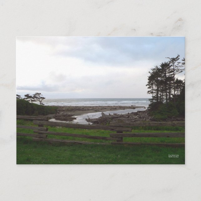 From Kalaloch Lodge Postcard (Front)