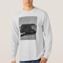 From Miyazaki and Aoshima. T-shirt