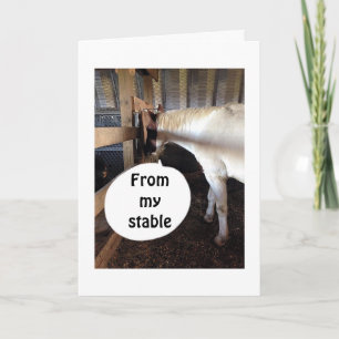 FROM MY STABLE TO YOURS MERRY CHRISTMAS HOLIDAY CARD