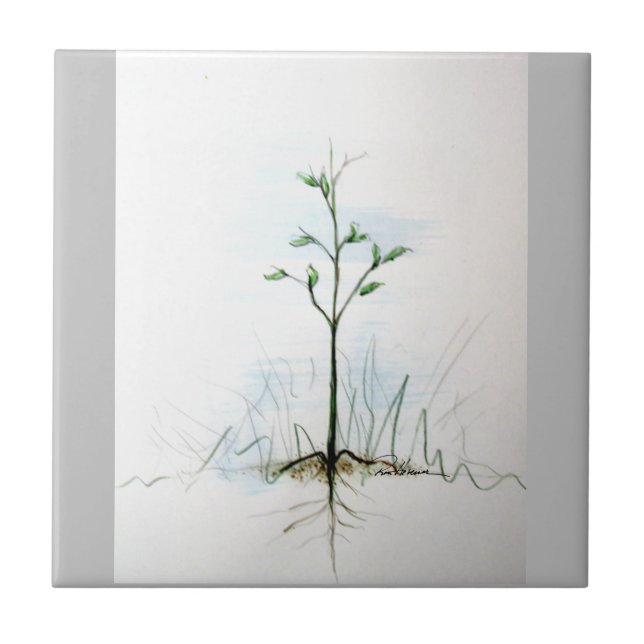 From One Little Seed . . . . Tile (Front)