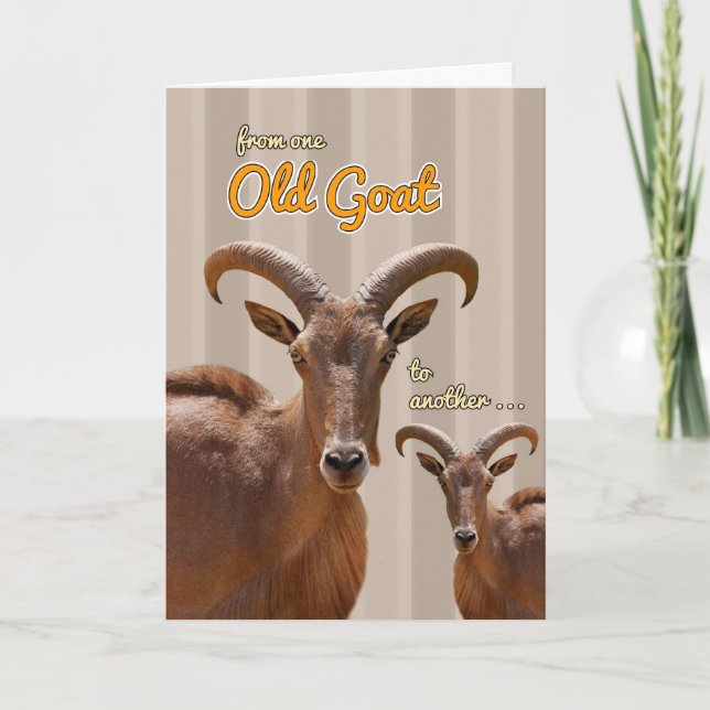 From One Old Goat to Another Funny Birthday Card (Front)