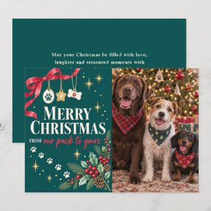 From Our Pack to Yours Dog Christmas Photo Holiday Card