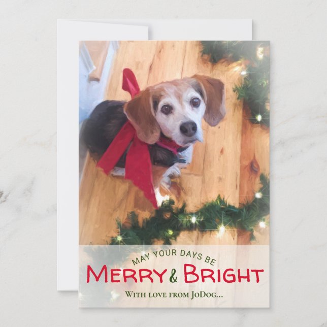 From Pet & Family Photo Merry & Bright Christmas H Holiday Card (Front)