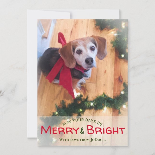 From Pet & Family Photo Merry & Bright Christmas Holiday Card (Front)