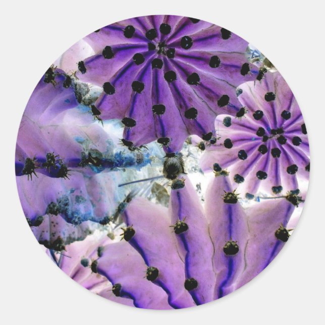 From Space Classic Round Sticker (Front)