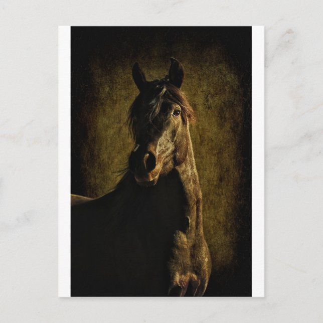 From the Darkness Postcard (Front)