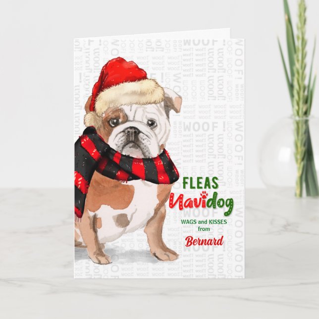 from the Dog Bulldog Fleas NaviDOG Holiday Card (Front)