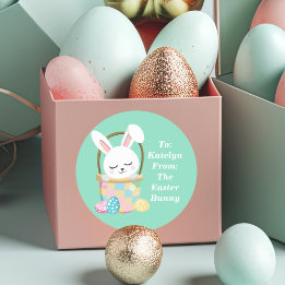 From The Easter Bunny Cute Pastel Green Kids Gift Classic Round Sticker