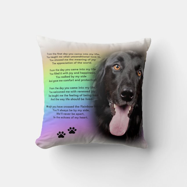'From the first day you came into my life' Dog Cushion (Front)