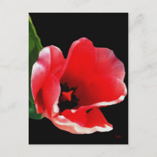 From The Garden Postcards