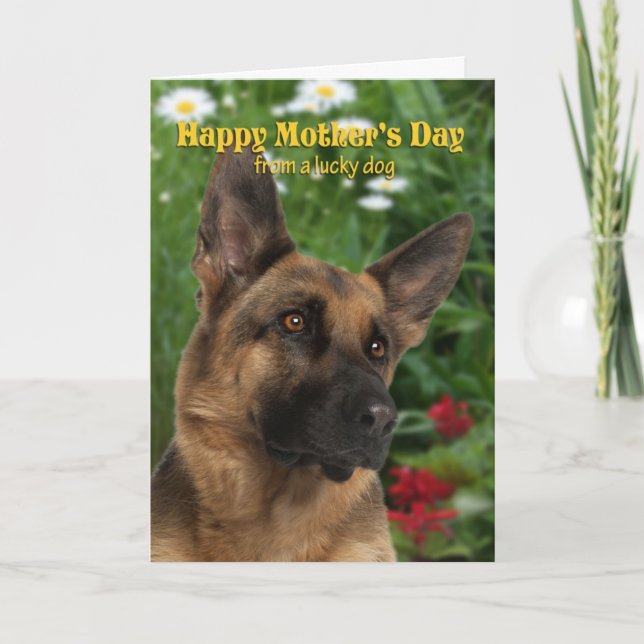 From the German Shepherd Mother's Day Card (Front)