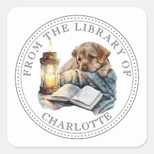 From The Library Of Illustrated Bookplate Square Sticker