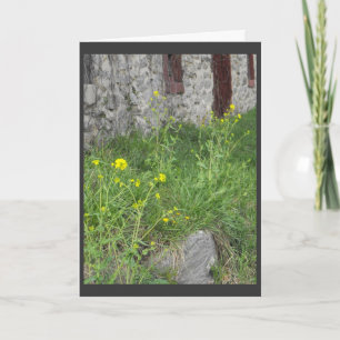 ..from the parent... 1 holiday card