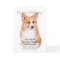 From the Pembroke Corgi