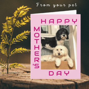 From The Pet - Best Mum Ever Mother's Day Card
