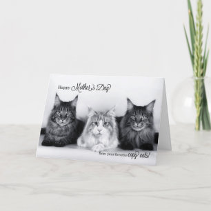 from the Pet Funny Mother's Day Three Tabby Cats Thank You Card
