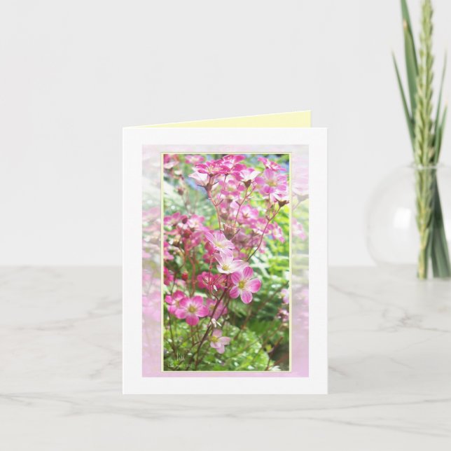 From the rock garden 1 holiday card (Front)