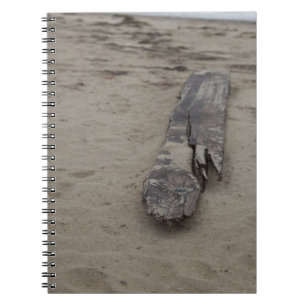 From the Sea Notebook